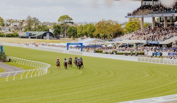 Sky Sport to broadcast horse race The NZB Kiwi