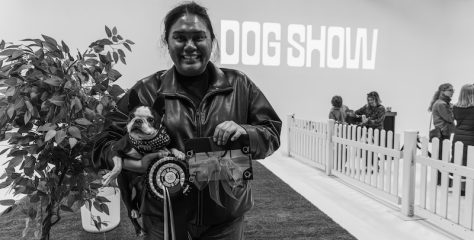 AO Dog Show crowns first-ever ‘Best in Show’